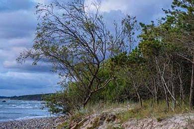 皮特·斯图斯继续高光表现，成为南非橄榄球的无声英雄，斯图皮特2021