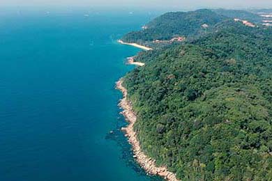 斯密斯：在战术调整中贡献巨大，带领全黑队迎接新挑战，sime斯密