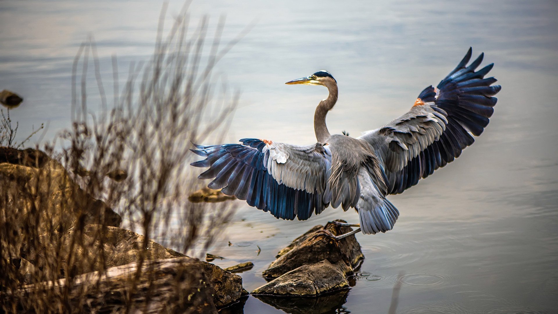 西甲防守转型后对中场拦截次数的影响研究，西甲用球2020