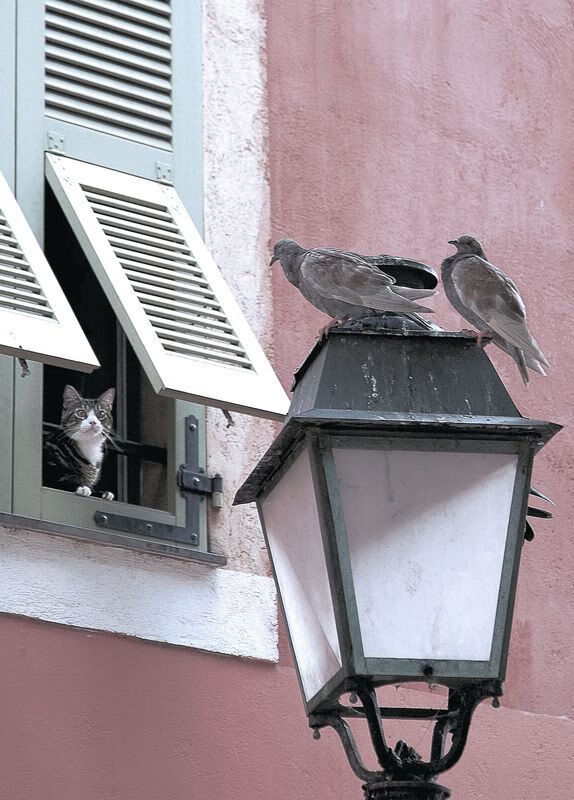 “2025年世界运动会：沙滩赛场上演速度与激情”