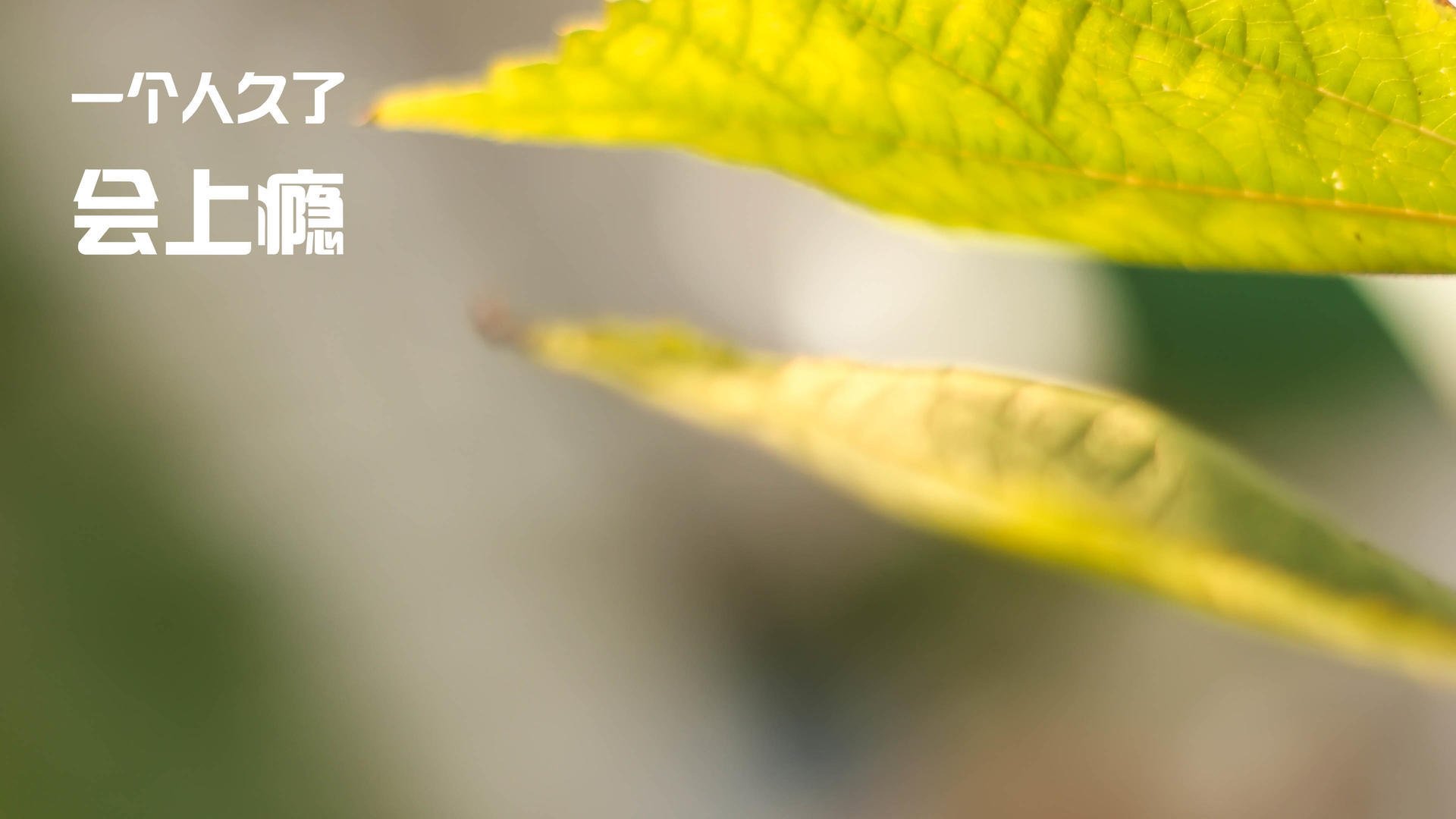 中国三人篮球男队注重防守反击战术，男子三人篮球中国队