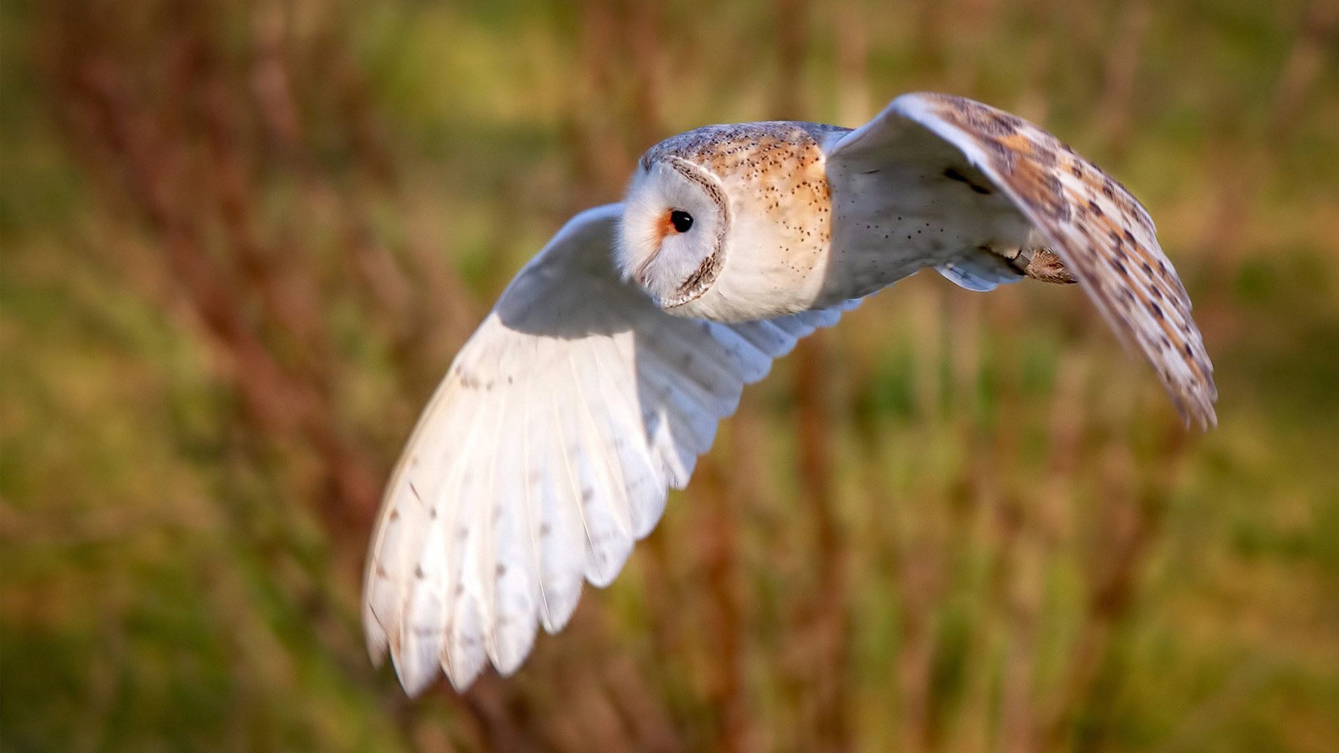 中国男篮强调训练强度控制伤病风险，中国男篮面临一个可怕的对手