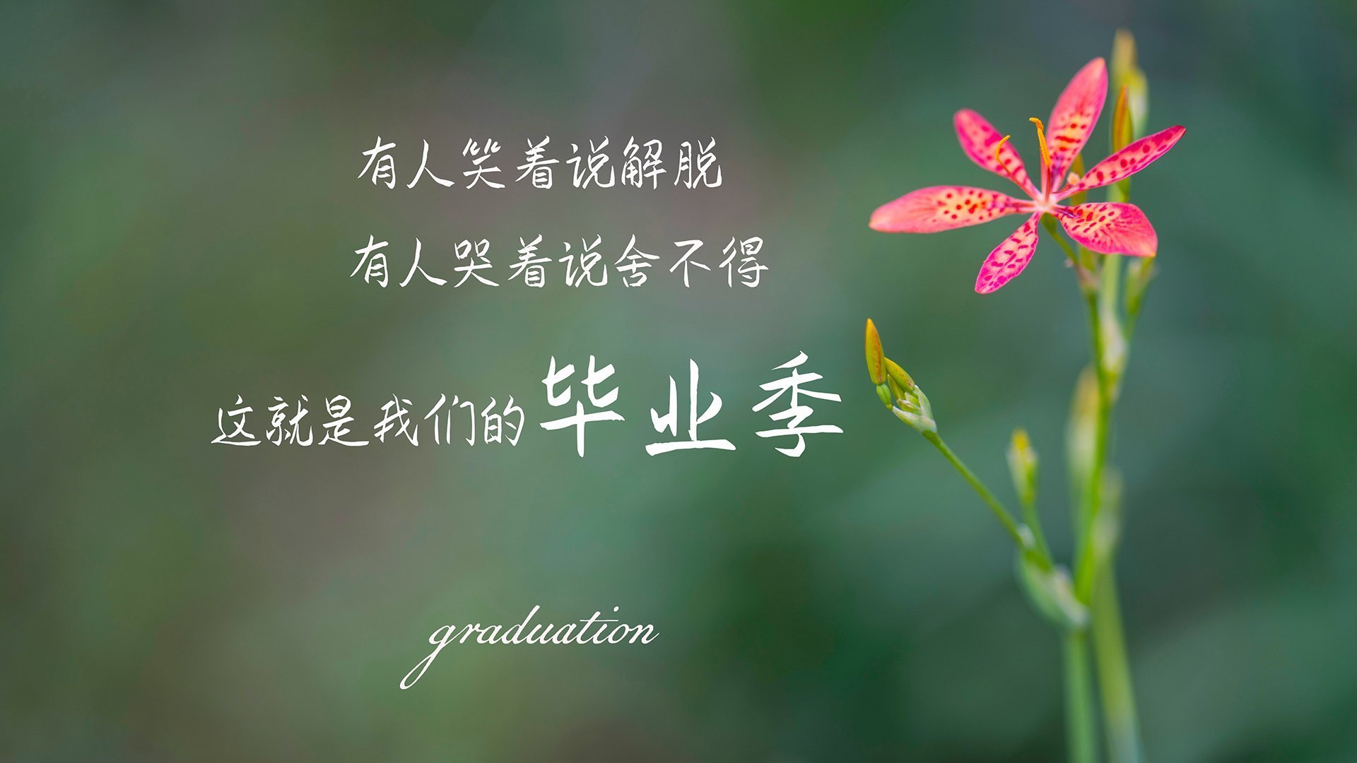 开云官网-俱乐部训练基地标准化改革正式启动，俱乐部训练计划