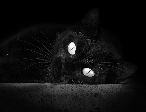 马拉松赛事路线优化保障安全，马拉松比赛线路图