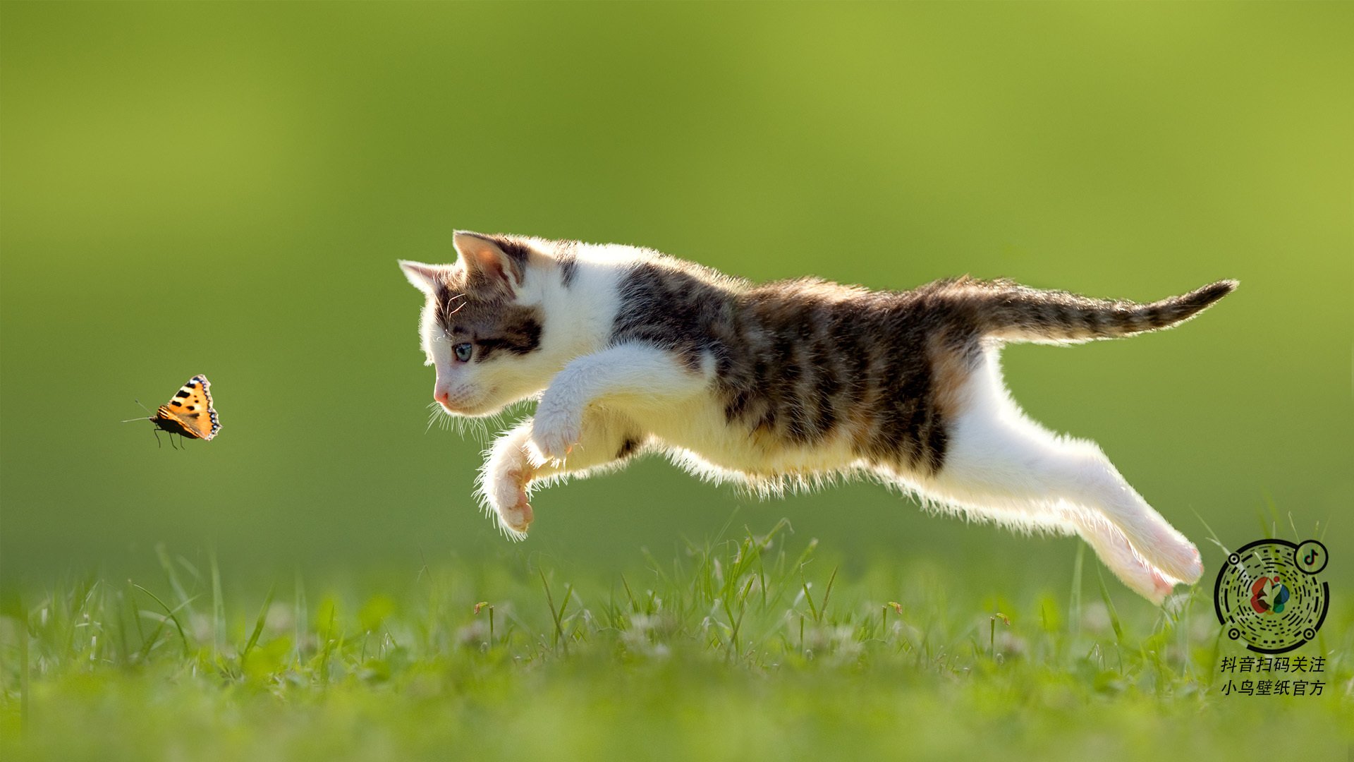 开云网页-中国篮协举办女篮发展大会推进女性参与多层级提升，中国女篮发展现状