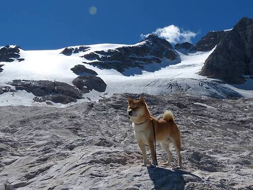 乌干达女篮在非洲锦标赛中突飞猛进,迎向新天际线,非洲乌干达来