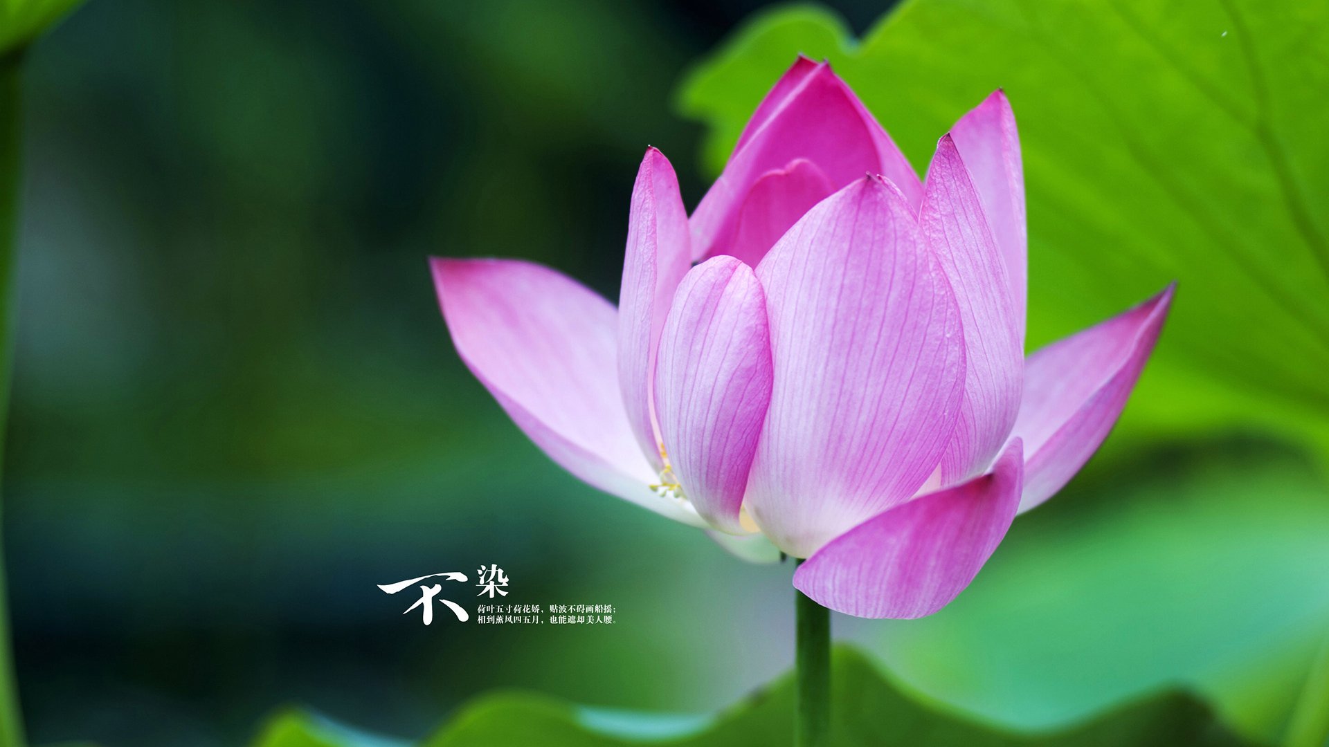 卢旺达男篮在非洲锦标赛中成功夺冠，迈向更高目标