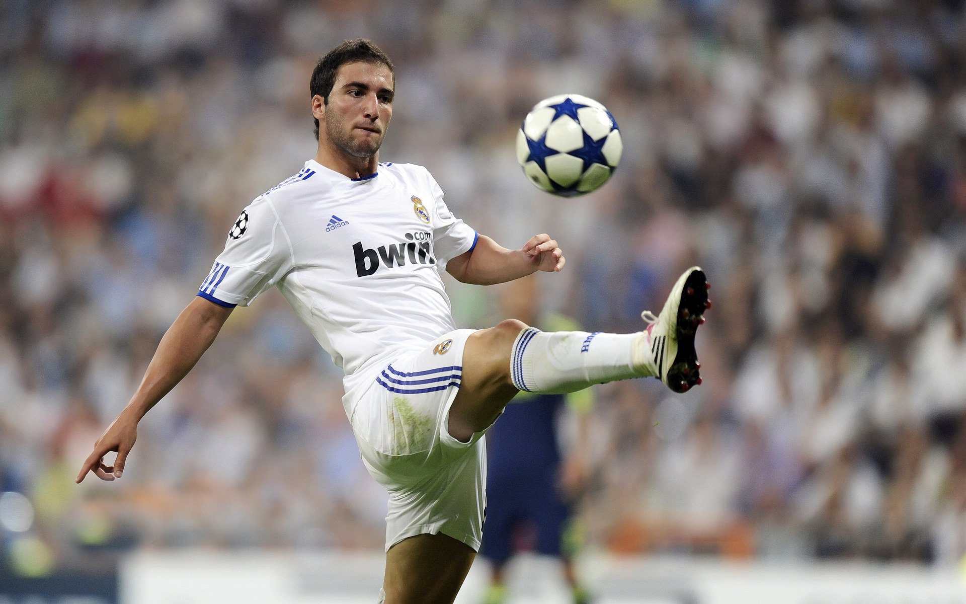 世界杯终章：英雄与奇迹的绽放瞬间，世界杯之路